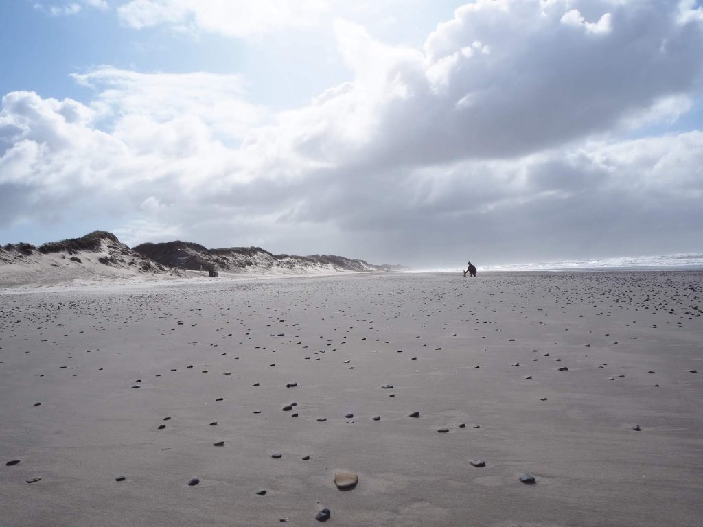 Sandstrand mit von der Flut geebnetem Sand und kleinen Runden Steinen. In der ferne nahe am Wasser sitzt der Pilgrim Terrier und Mary hockt daneben.