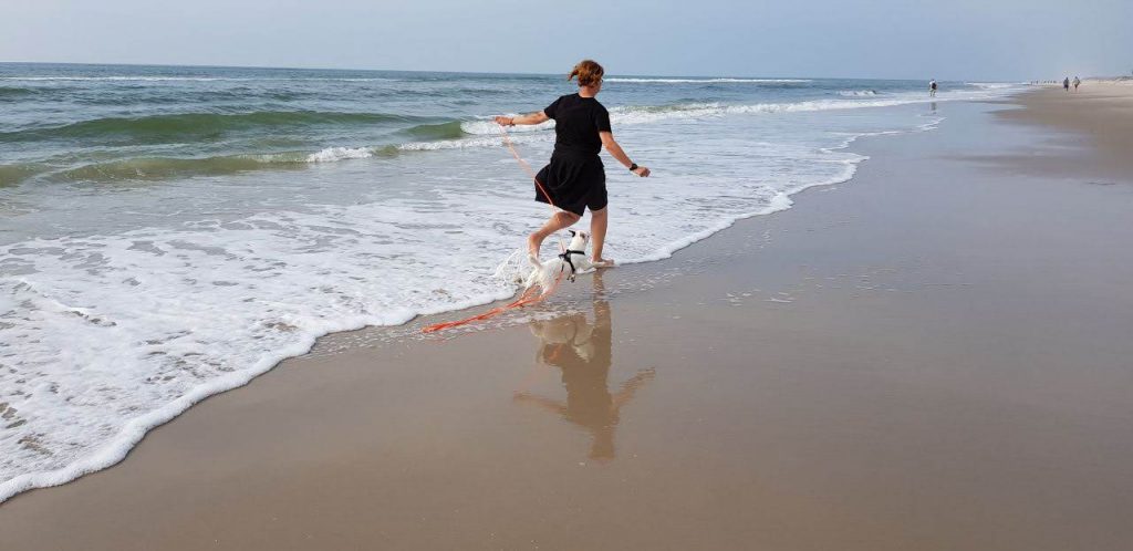 Mary rennt mit Lemmy an der Schleppleine durch die Gischt